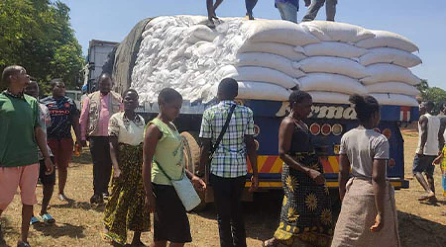 DoDMA offloaded 2,498 bags of maize weighing 50 kilograms each