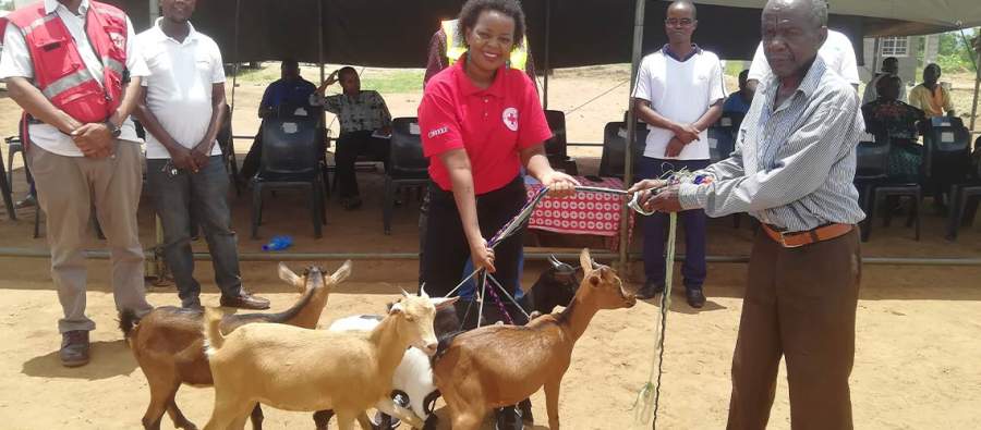 Red Cross Launches Goat Project in CZ