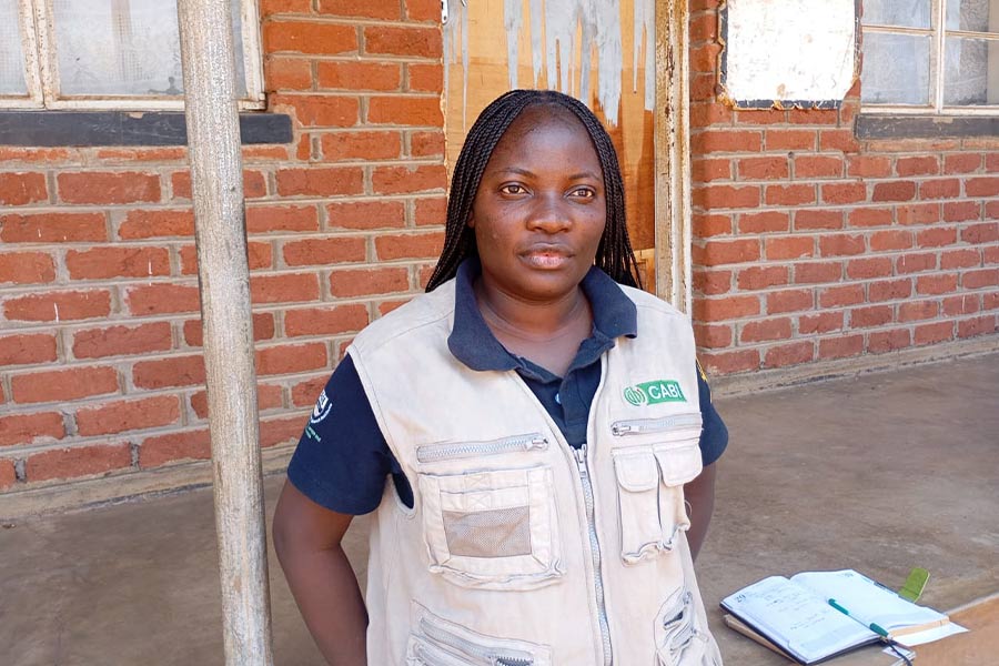 Digital Innovation Boosts Agricultural Extension Services in Malawi