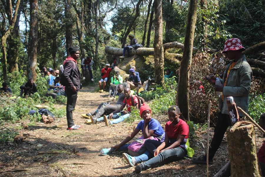 The Race to Save Mount Mulanje as Encroachment Outpaces Conservation