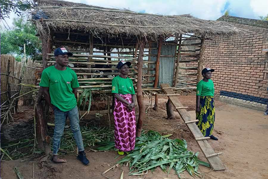 Gvt Touts Use of Manure as Key In Farming