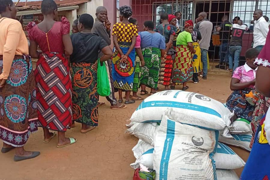 “When Love Divides Fertiliser”—A Story from Thyolo, a Quiet Warning for Malawi