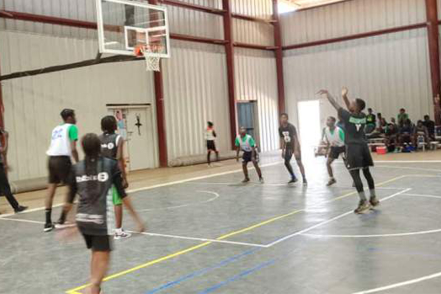 Basketball Academy Pushes for Minority Sports Funding