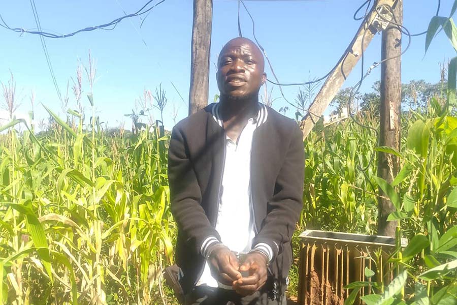 Thyolo Man Jailed for Vandalising Electricity Installation Equipment