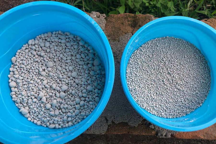 MUST Develops Organic Urine-Based Fertilizer