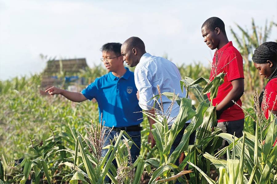 China-Malawi Cooperation: Knowledge From Classroom to Farmland